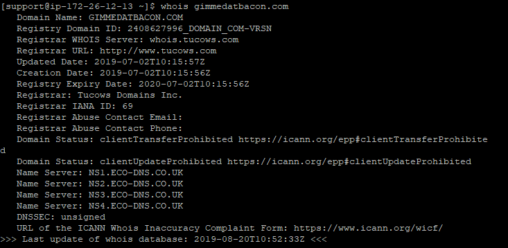 Screenshot of the whois command in the terminal, showing the DNS records for the domain.